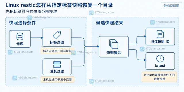 Linux restic怎样从指定标签快照恢复一个目录