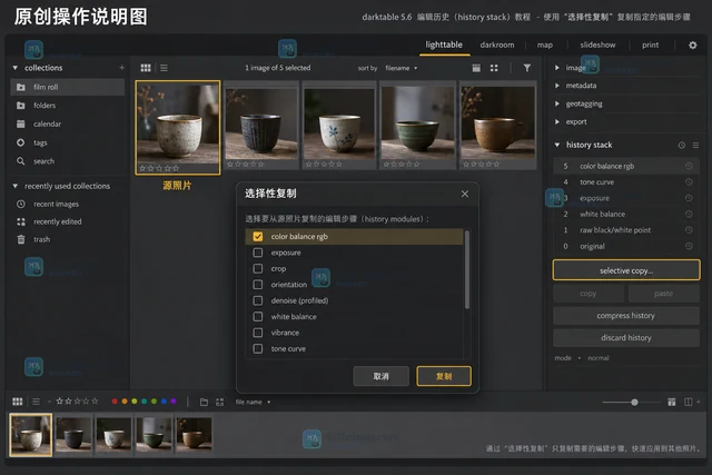darktable怎样把编辑历史复制到同组照片