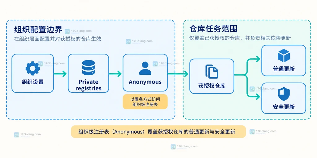 组织设置、匿名组织级私有注册表、获授权仓库与普通更新和安全更新之间的关系说明图
