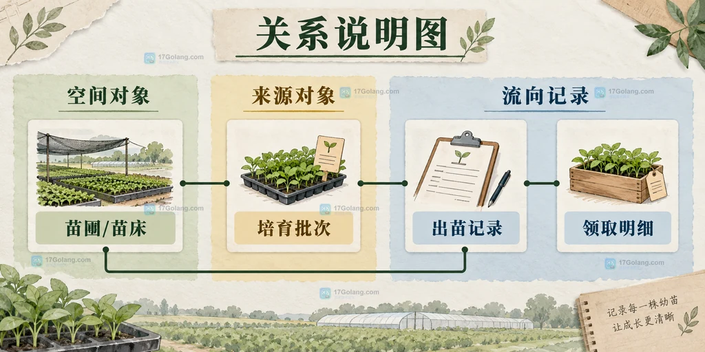 苗圃、培育批次、出苗记录和领取明细的关系说明图