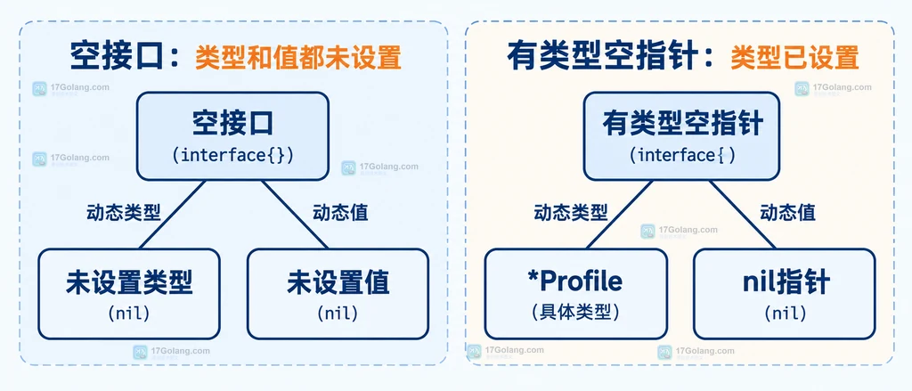 空接口和有类型空指针的动态类型与动态值关系