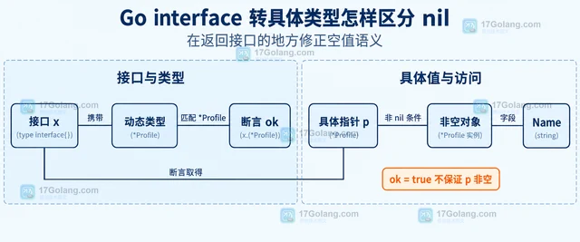 Go interface 转具体类型怎样区分 nil