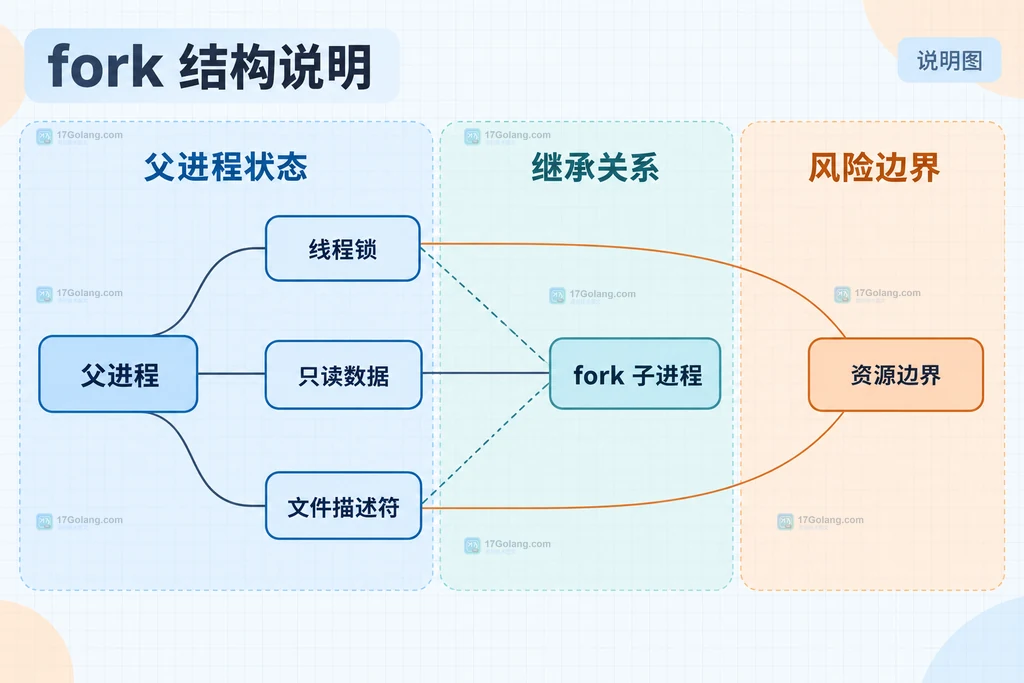 fork 启动方式中父进程状态、线程锁、只读数据和子进程继承边界的静态关系说明图