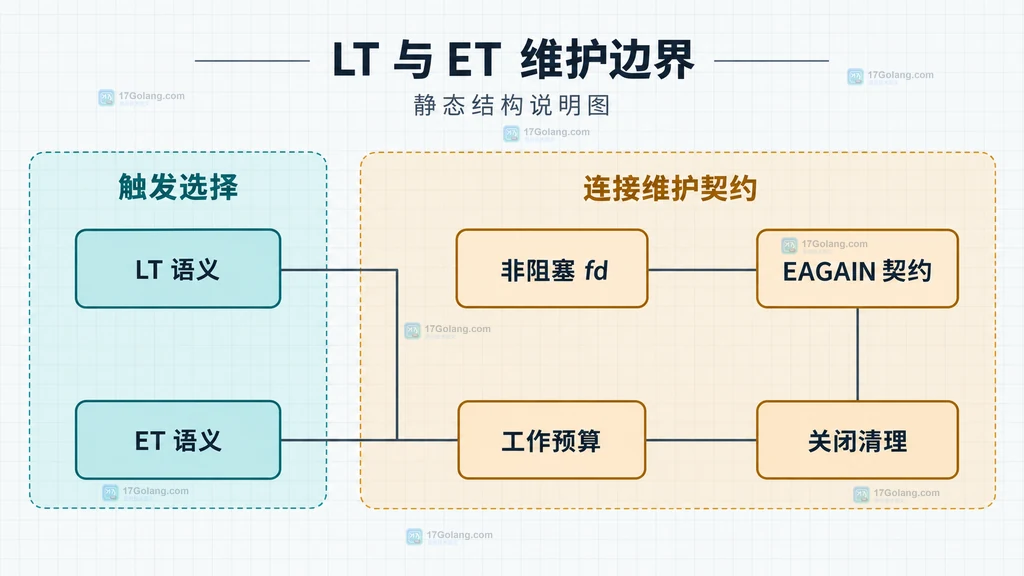 Linux epoll LT 事件循环中实例、兴趣列表、就绪列表与连接状态的静态关系说明图