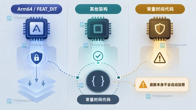 Go subtle.WithDataIndependentTiming 怎样包住常量时间逻辑