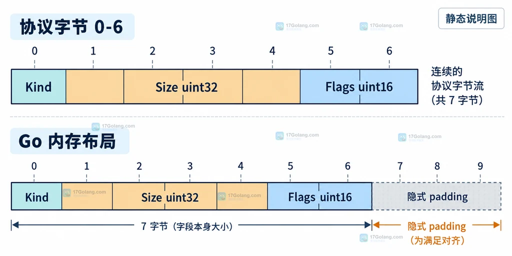 协议字段顺序与 Go 结构体内存对齐的关系说明图