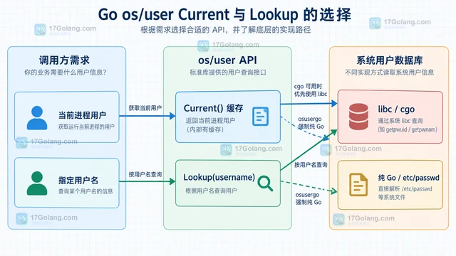 Go os/user Current 和 Lookup 怎样选择