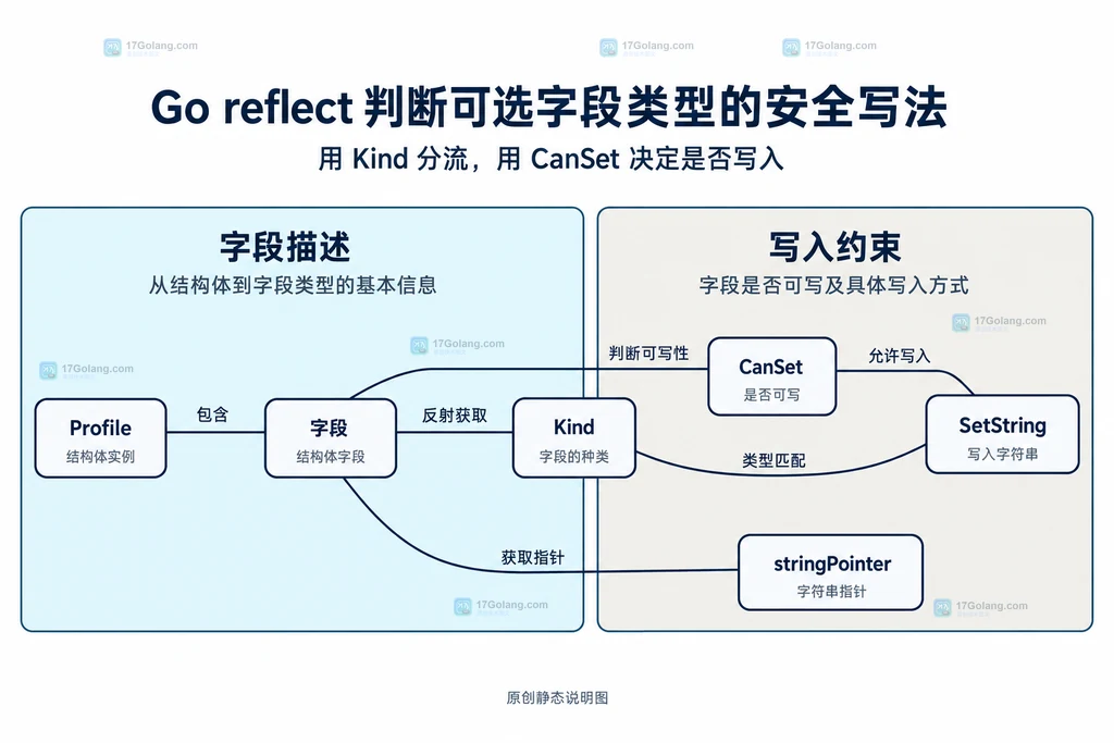 目标结构体字段、类型判断和写入许可的静态依赖