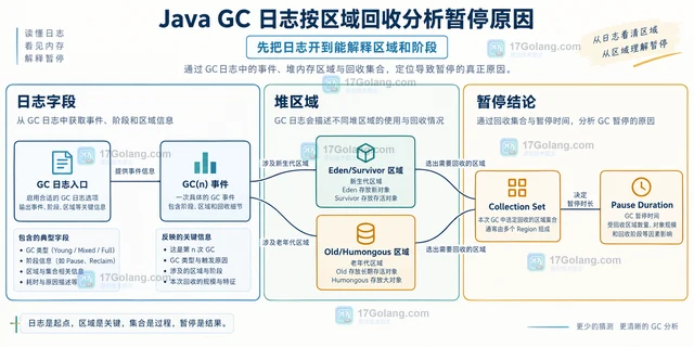 Java GC 日志按区域回收分析暂停原因