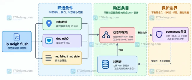Linux ARP 邻居状态异常怎样读取和刷新