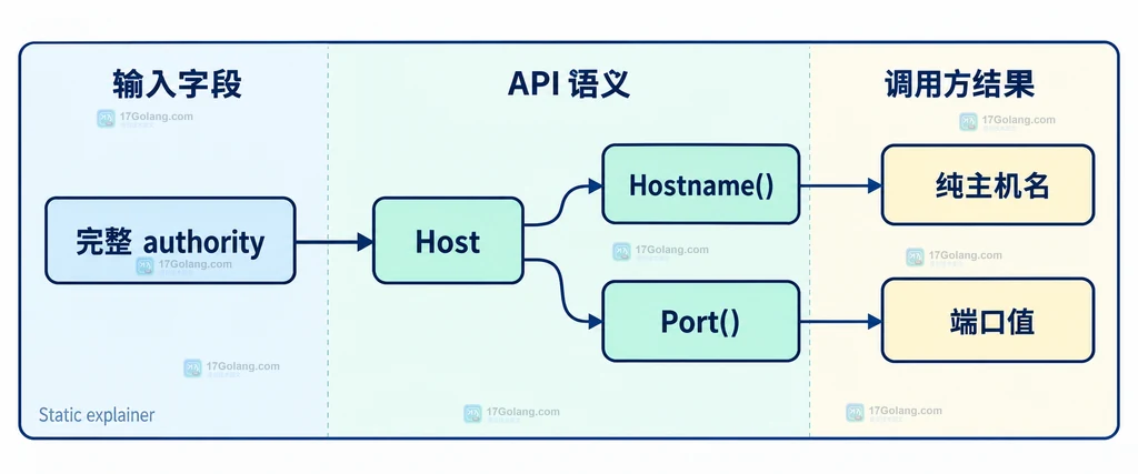 Go URL Host Hostname Port 按使用目标选择的静态决策图