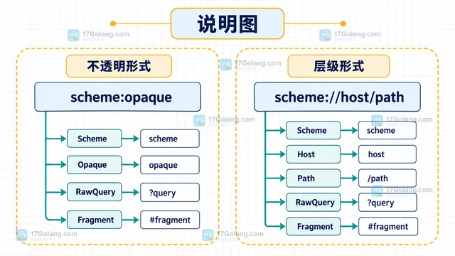 Go url.URL 怎样用 Opaque 字段表达不透明请求目标