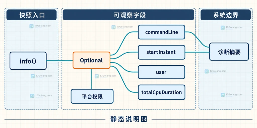 ProcessHandle.Info 可选字段与诊断摘要关系的静态说明图