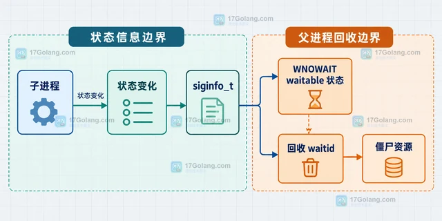Linux 怎样用 waitid 获取子进程状态