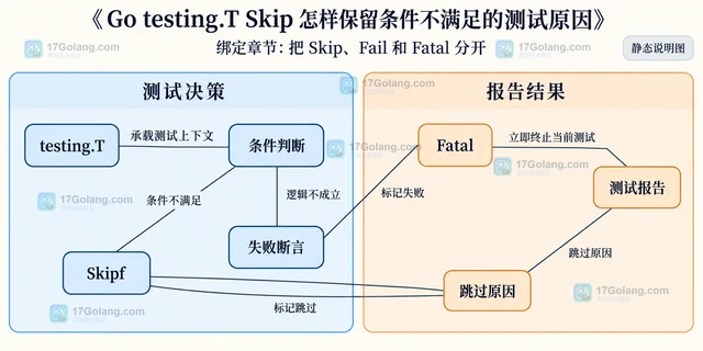 Go testing.T Skip 怎样保留条件不满足的测试原因