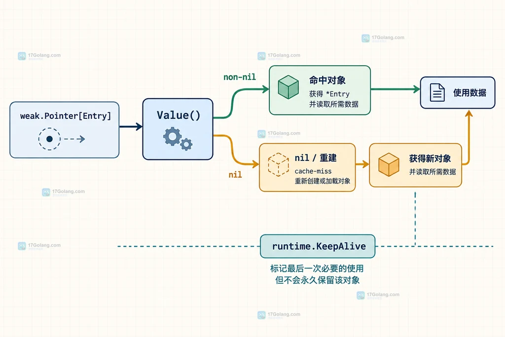 Go weak.Pointer Value nil 判断与 runtime.KeepAlive 生命周期边界结构图