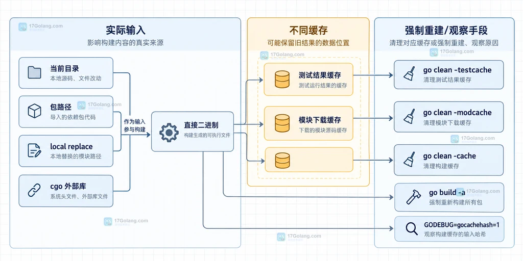 Go 旧构建结果排查关系图,展示当前目录、包路径、local replace、cgo 外部库、不同缓存和强制重建手段