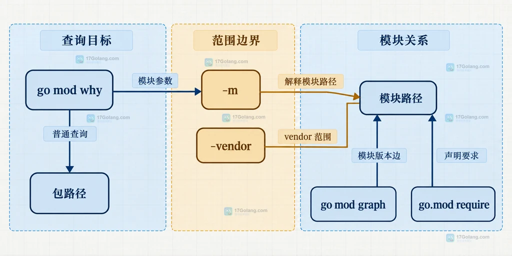 Go mod why 的包路径、模块路径、vendor 范围与 go mod graph 关系说明图