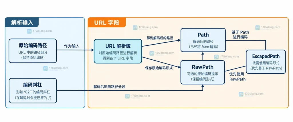 Go URL 的原始路径、Path、RawPath 与 EscapedPath 之间关系的静态结构说明图
