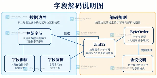 Go binary 为什么读出的整数大小端反了