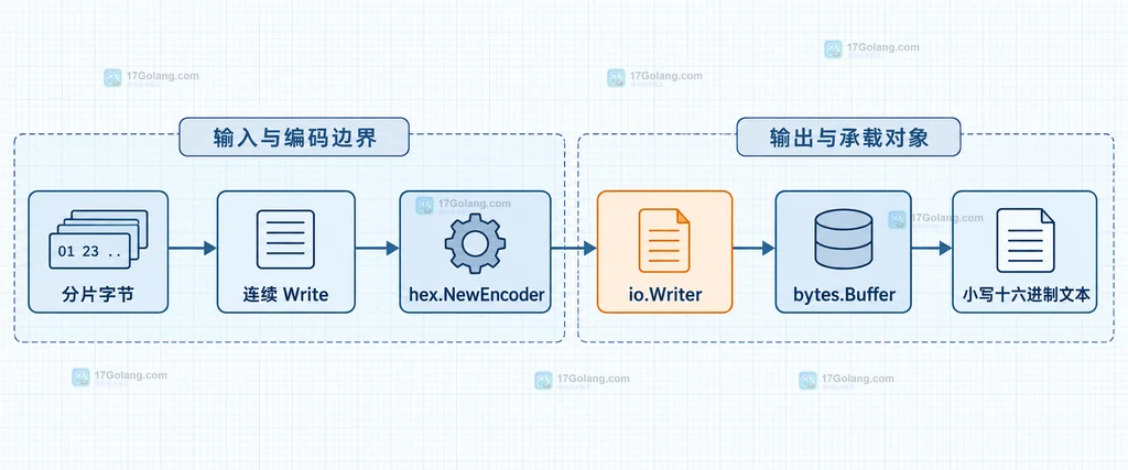 Go hex Encoder Write 返回源字节计数并传播下游错误的边界说明图