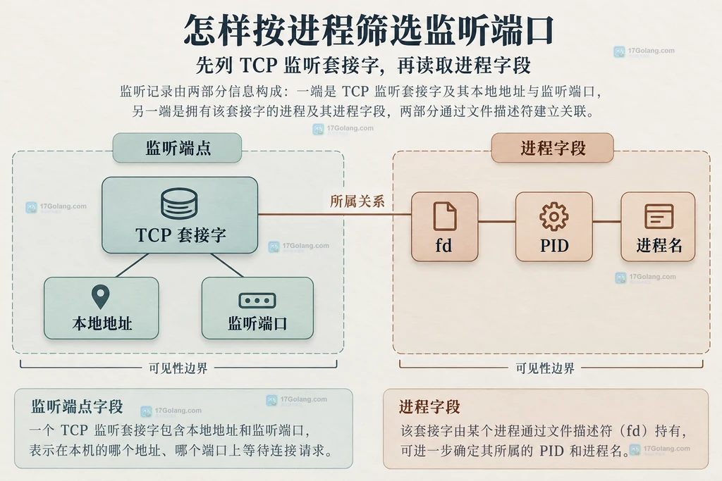 TCP 监听套接字、本地端点与进程字段的静态结构图