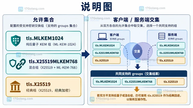 Go crypto/tls 怎样显式启用 ML-KEM 密钥交换