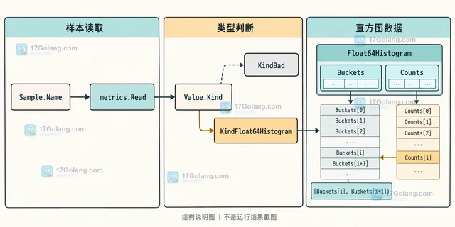Go runtime/metrics 怎样判断描述符是否支持直方图样本