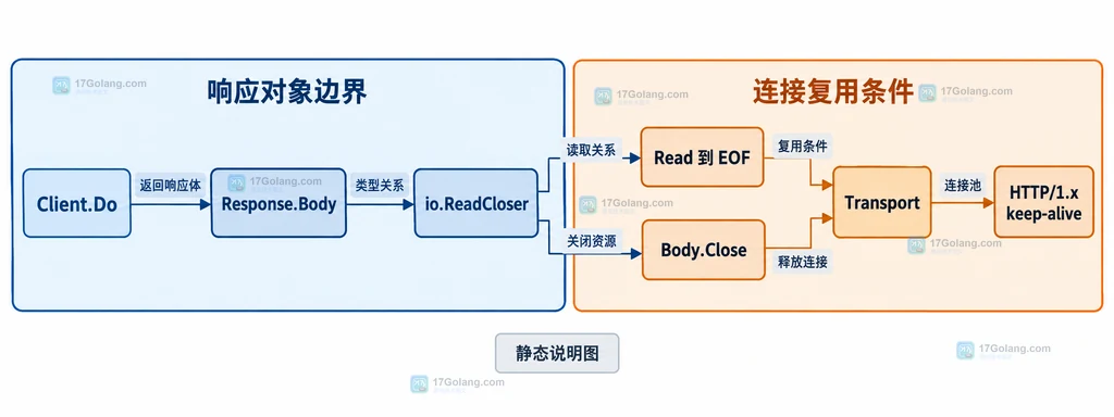 小响应使用 io.ReadAll、大响应使用 io.Copy io.Discard 流式读取，并共同依赖 Body.Close 与 Transport 的静态说明图