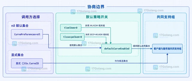 Go tls MLKEM 为什么曲线偏好没有生效（参数形态）
