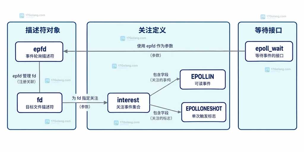 图1:epoll 实例、连接描述符与关注事件的静态注册关系