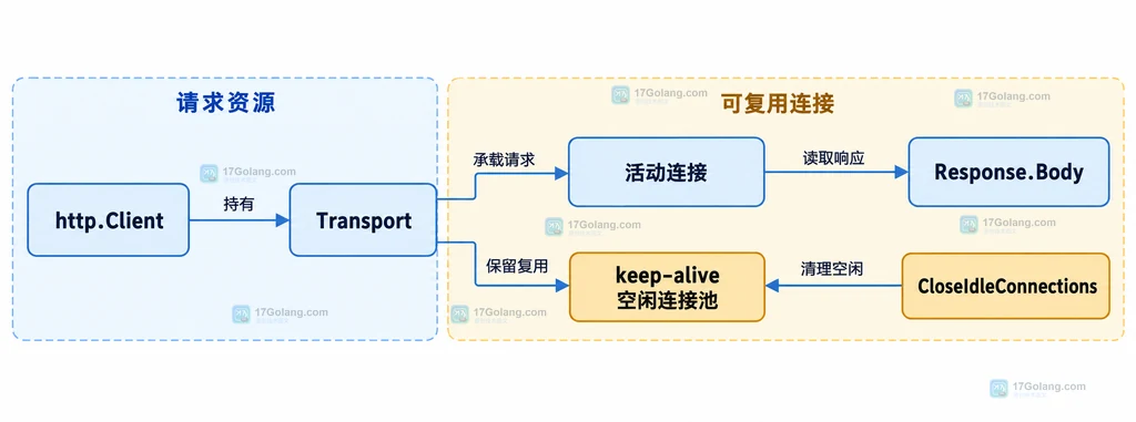 Go HTTP 响应体、活动连接和空闲连接的静态关系说明图