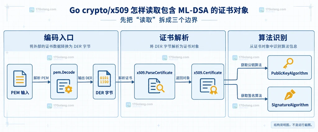 从 PEM 或 DER 到 x509.Certificate 再到算法字段的静态结构关系图