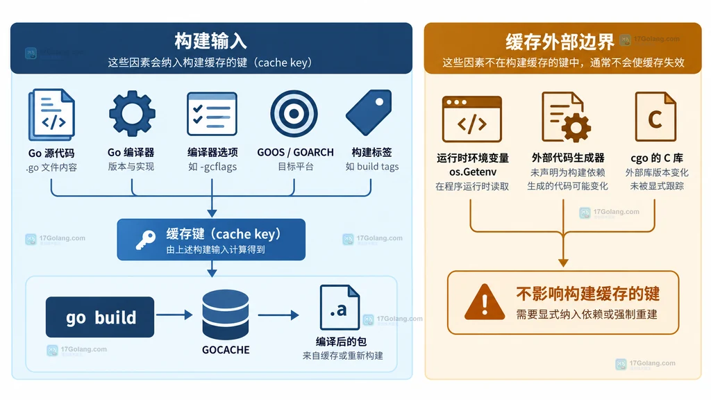 Go 构建缓存输入边界说明图,区分构建输入、运行时环境变量和 cgo 外部库