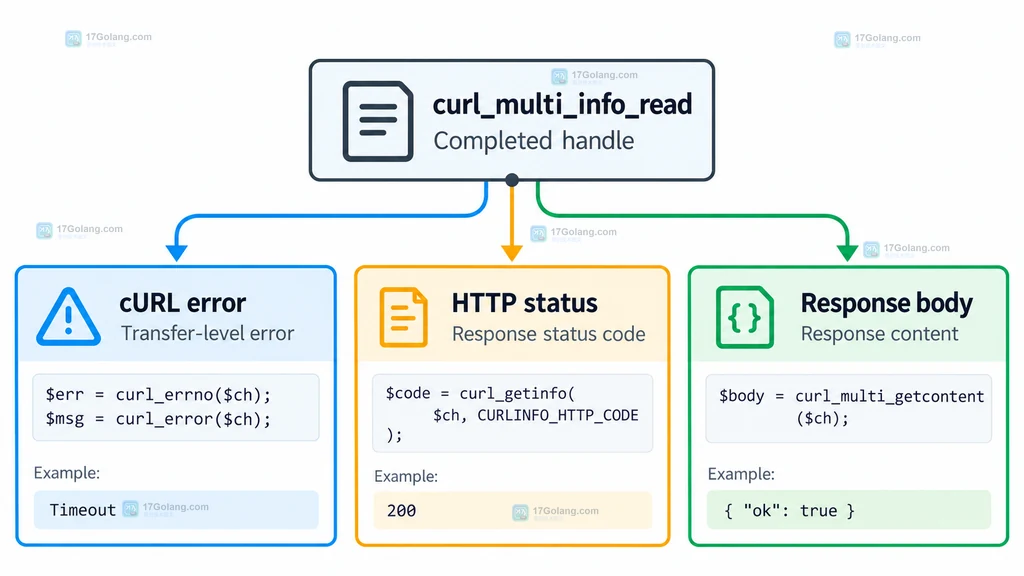 PHP curl 多句柄完成消息按句柄汇聚并分为传输错误、HTTP 状态和响应体的结果判断说明图