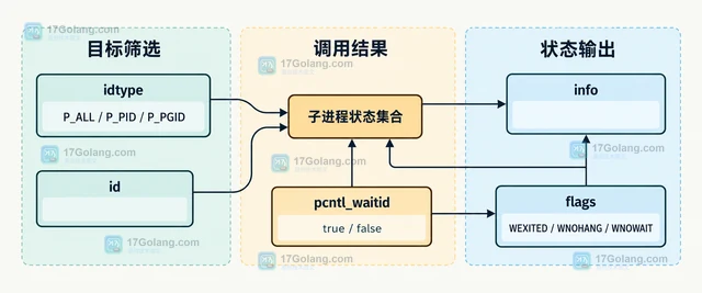PHP pcntl_waitid 怎样等待子进程并读取退出状态