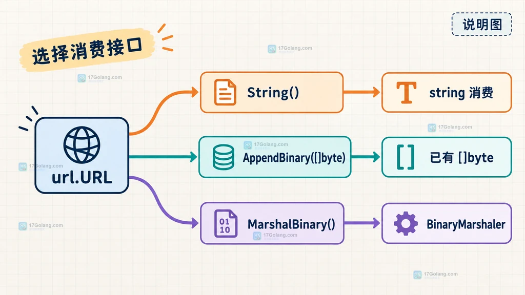 Go url.URL 的 String、AppendBinary 和 MarshalBinary 按消费接口分流的关系说明图
