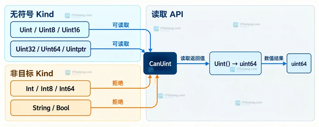 无符号 Kind、非目标 Kind、CanUint 与 Uint 返回 uint64 的关系说明图