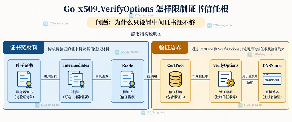Go x509 VerifyOptions 的 Roots、DNSName、KeyUsages 与 Verify 结果静态结构图