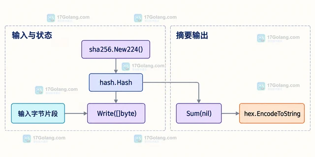 Go sha256.New224 怎样计算 SHA-224 摘要