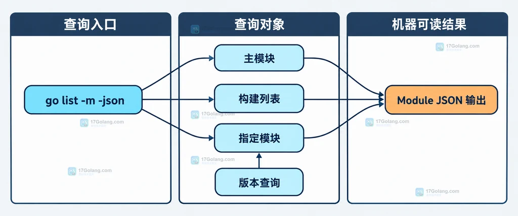 Module 结构中 Path、Version、Dir、GoMod、Main、Indirect 与 GoVersion 字段的静态分组关系图