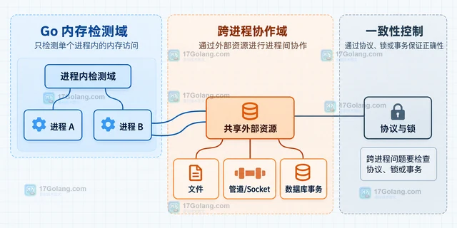 Go race 为什么不报告跨进程的数据竞争