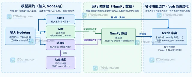ONNX Runtime 怎样查看模型输入名称与形状