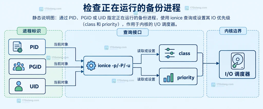 sysctl.d 配置目录、文件排序与内核参数覆盖关系的静态结构图
