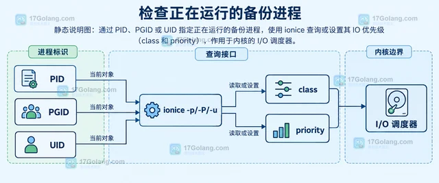 Linux sysctl 怎样持久化内核参数配置