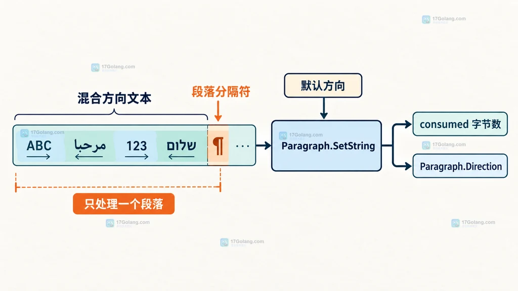Paragraph 输入文本、默认方向与段落边界的静态关系说明图