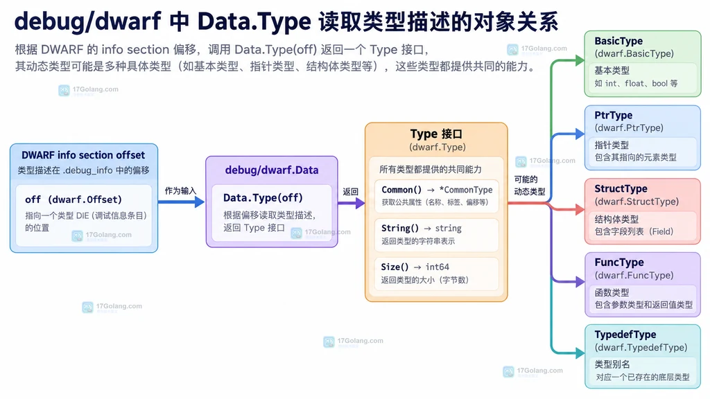 DWARF偏移经过Data.Type返回Type接口并分派到多种具体类型的结构图