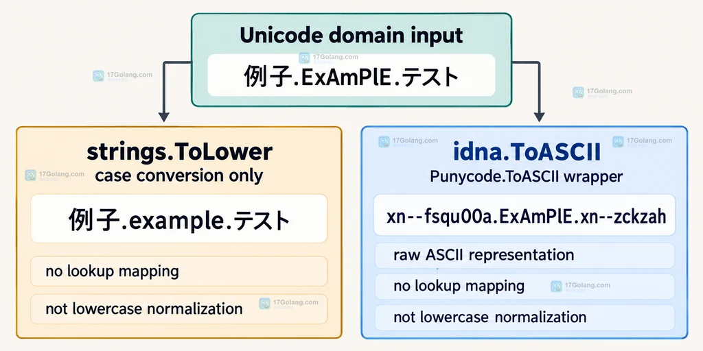 Go idna Punycode Lookup Registration Profile 选择关系图