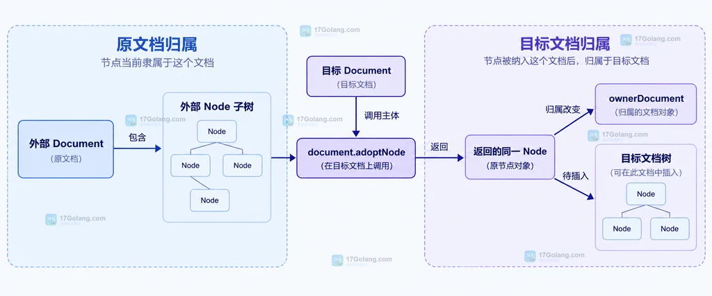 adoptNode 移动原节点与 importNode 创建副本的静态关系对比图