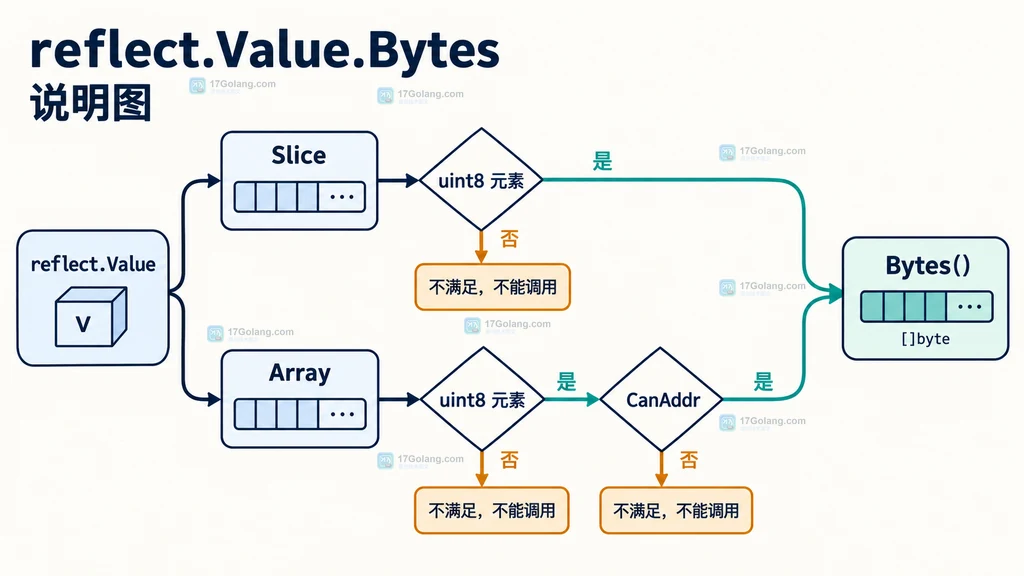 Go reflect.Value.Bytes 读取字节切片与可寻址字节数组的准入结构图
